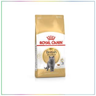 Royal Canin British Shorthair Yetişkin Kedi Maması 2 Kg