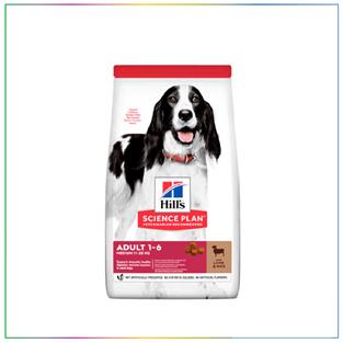 Hill's Adult Medium Lamb Rice Kuzu Etli ve Pirinçli 14 Kg Yetişkin Köpek Maması