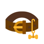 Image-HasTech